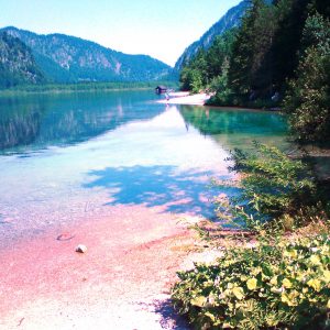 Wasseraufbereitung, Teich & See, Öko-konform