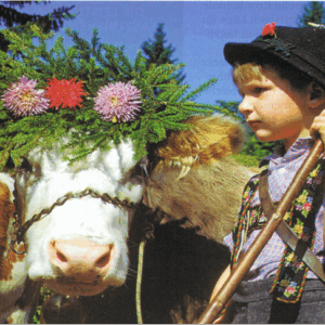 SELBSTABHOLUNG - SACKWARE LAGER EMERTSHAM-KIENBERG. Abholung Lager Emertsham ab 100 kg, nach Terminvereinbarung unter +49 (0)8628 987020 oder info@vitaring.com. Selbstabholung von Palettenware ab 6 t, nach Terminvereinbarung im Mischfutterwerk Steyr / Austria möglich.